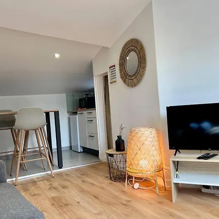 Apartamento F2 *La Treille* Centre Historique Clermont Fd 3P Exterior foto
